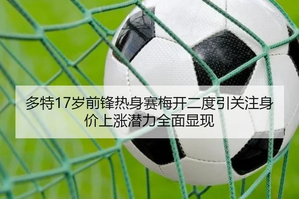 多特17岁前锋热身赛梅开二度引关注身价上涨潜力全面显现